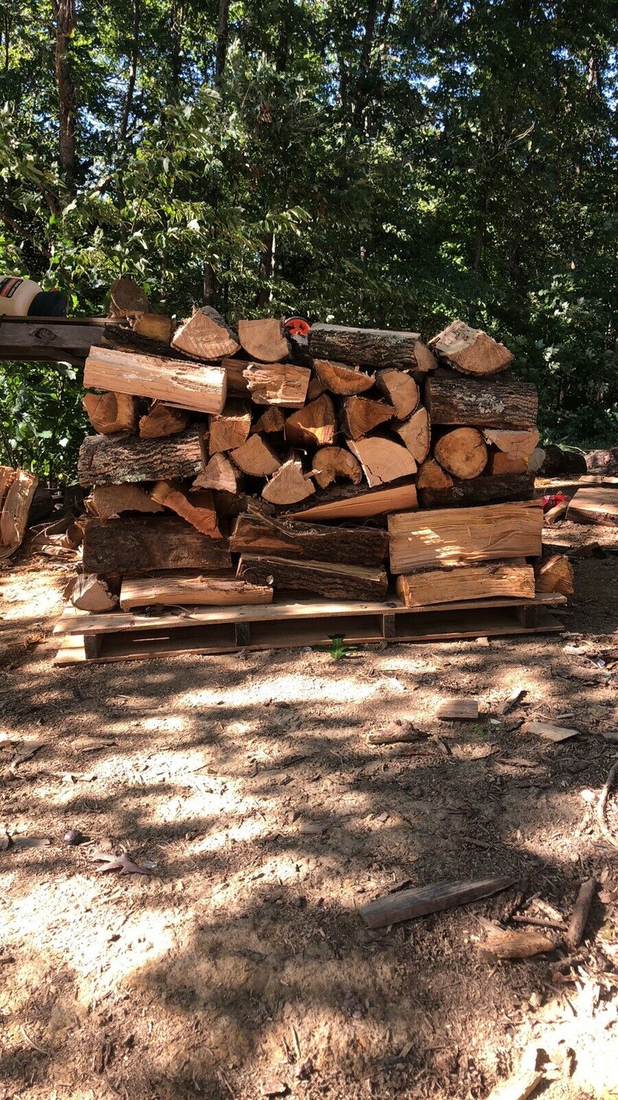 fire wood for sale - Fresh Stock Dated January 2026