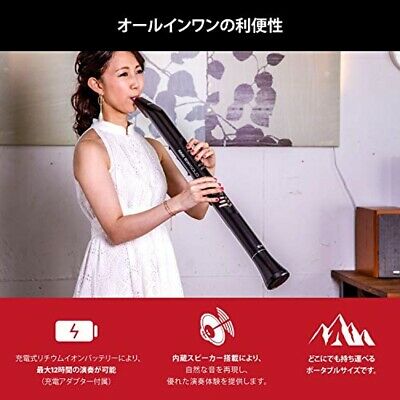 Akai Pro EWI Solo Electronic Wind Instrument Built-in Speaker Black Japan NEW - Fresh Stock Dated December 2025