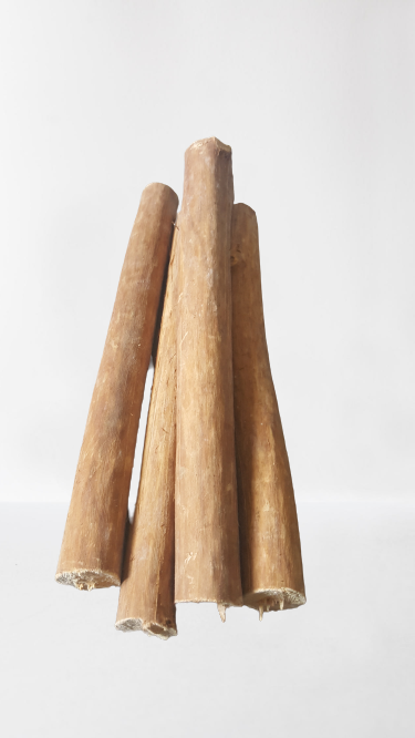 Cinnamon wood(four pieces) as firewood in chimneys camps and outdoors for fire - Fresh Stock Dated January 2026