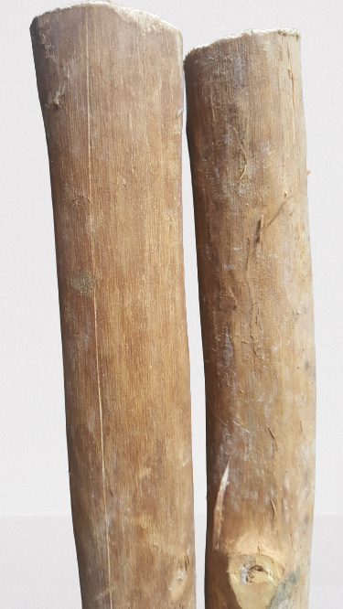 Cinnamon wood(four pieces) as firewood in chimneys camps and outdoors for fire - Fresh Stock Dated January 2026