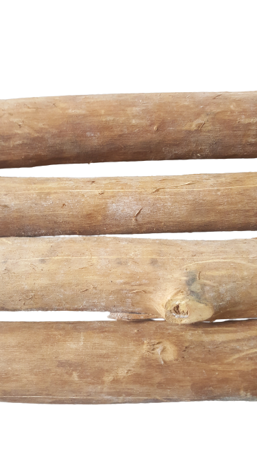 Cinnamon wood(four pieces) as firewood in chimneys camps and outdoors for fire - Fresh Stock Dated January 2026