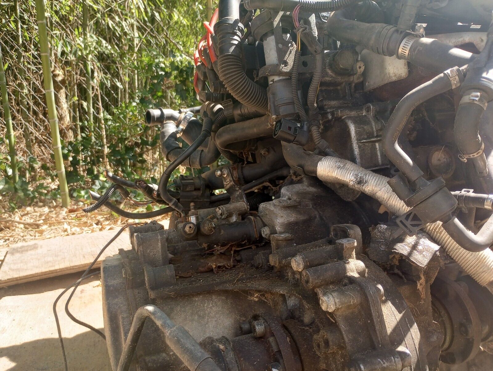 VR6 VW Manual Transmission 2.8L 6 Cylinder 5 Speed  99-05 JETTA - Fresh Stock Dated December 2025