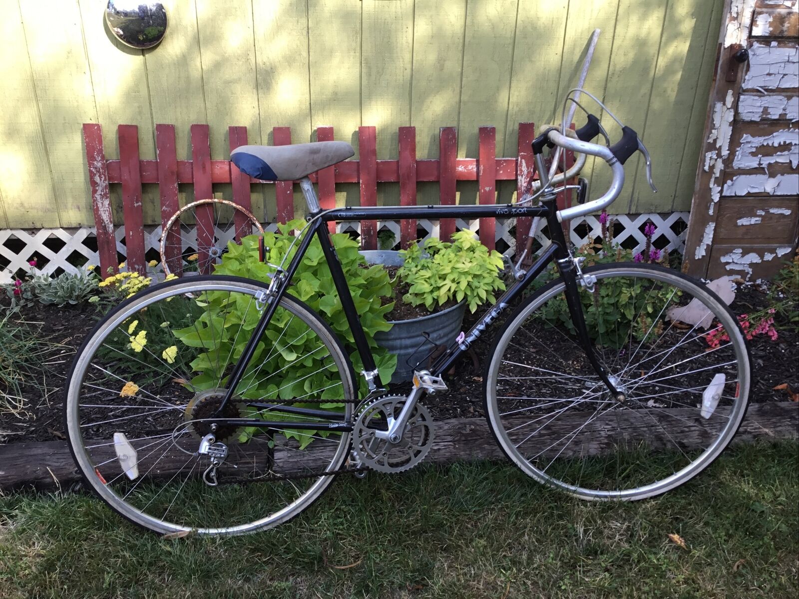 Vintage Univega 12 Speed Viva Sport Bicycle - Fresh Stock Dated January 2026