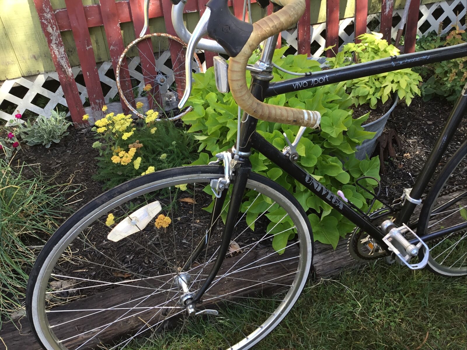 Vintage Univega 12 Speed Viva Sport Bicycle - Fresh Stock Dated January 2026