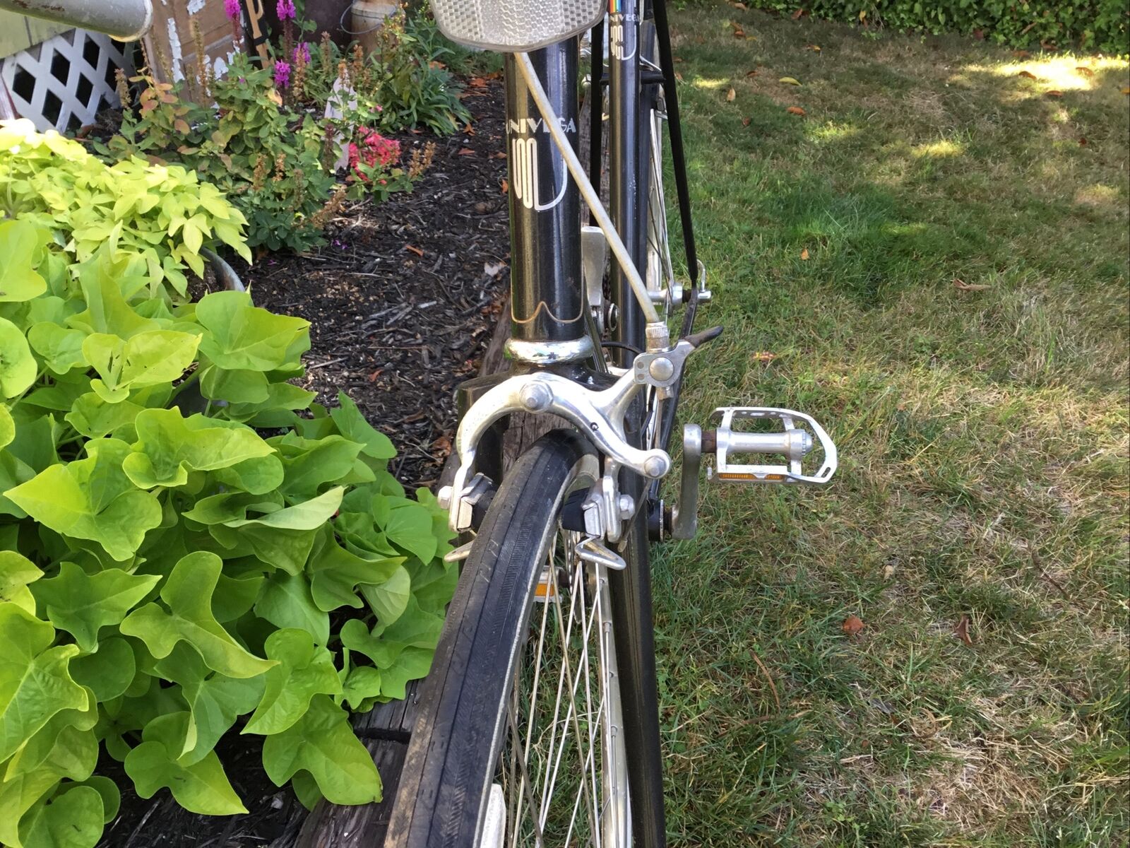 Vintage Univega 12 Speed Viva Sport Bicycle - Fresh Stock Dated January 2026