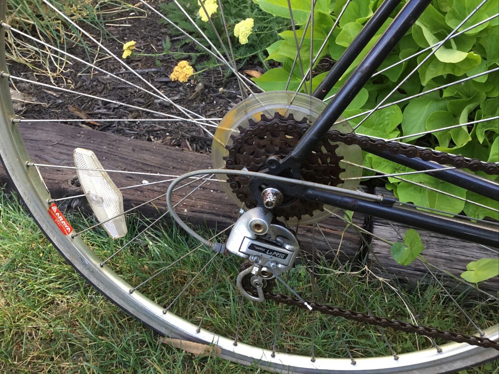 Vintage Univega 12 Speed Viva Sport Bicycle - Fresh Stock Dated January 2026