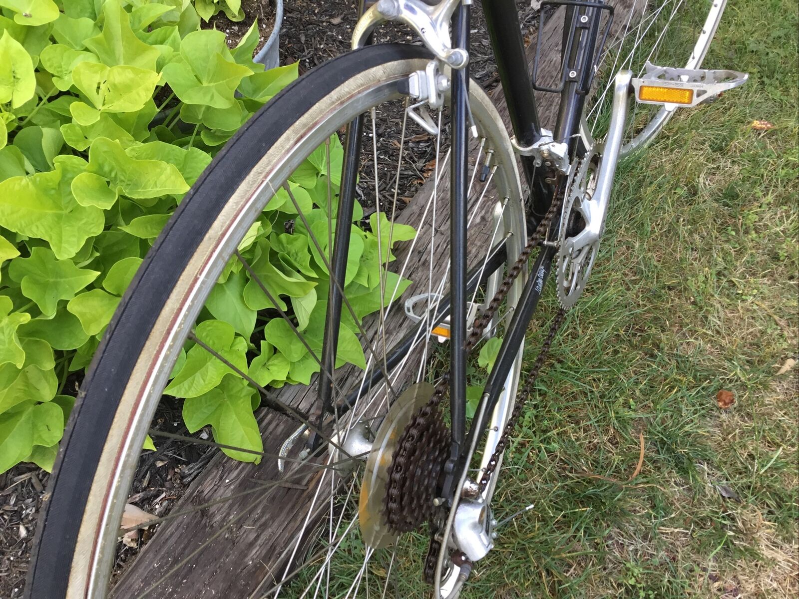 Vintage Univega 12 Speed Viva Sport Bicycle - Fresh Stock Dated January 2026