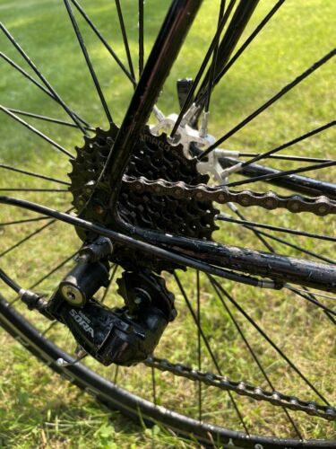 bianchi road bike bicycles - Fresh Stock Dated December 2025