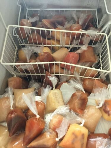 bolsitas para bolis plastic bags ice pops hielitos 1400 BOLSAS 8×26 Saborine - Fresh Stock Dated February 2026