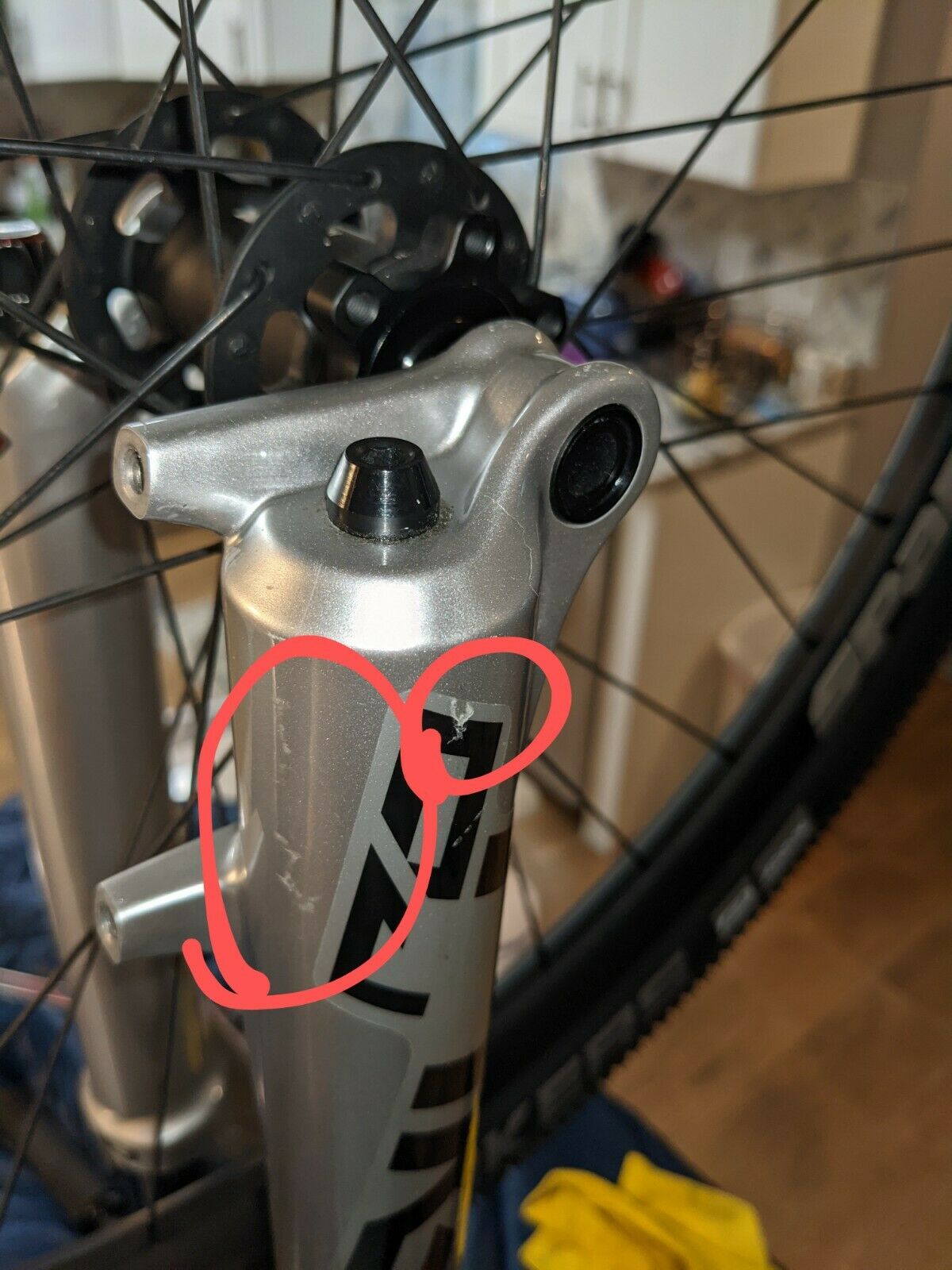 2021 Commencal Absolut RS | Size Medium | dirt jump dj bike - Fresh Stock Dated December 2025