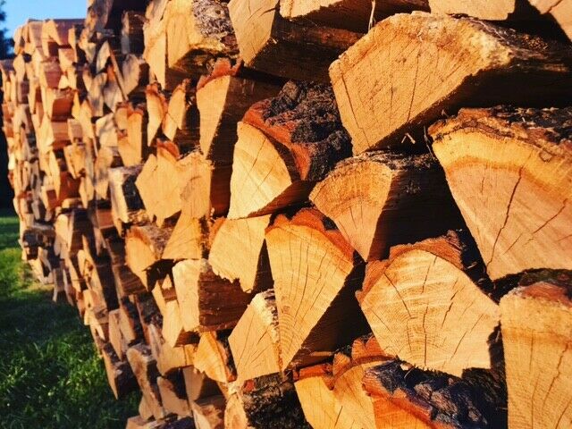 Firewood Bundle - Fresh Stock Dated January 2026