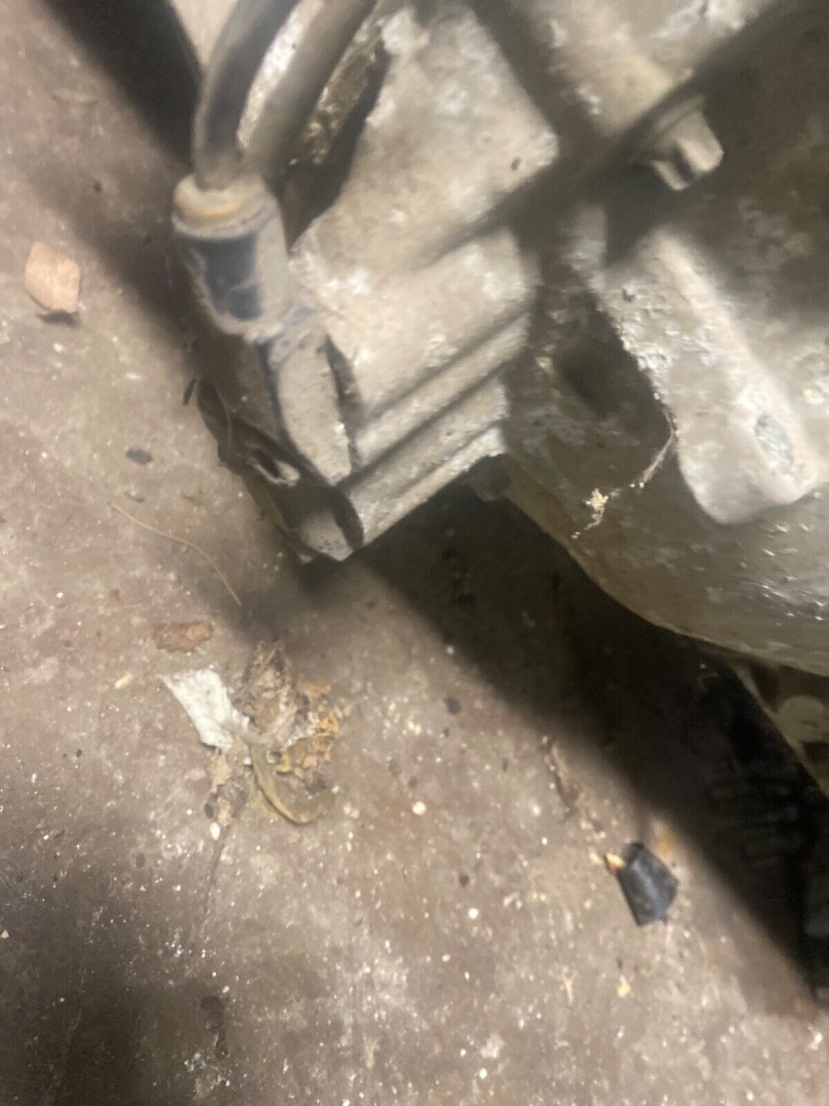 5 Speed Manual Transmission Gearbox 260 BMW 325e E30 OEM #84181 - Fresh Stock Dated January 2026