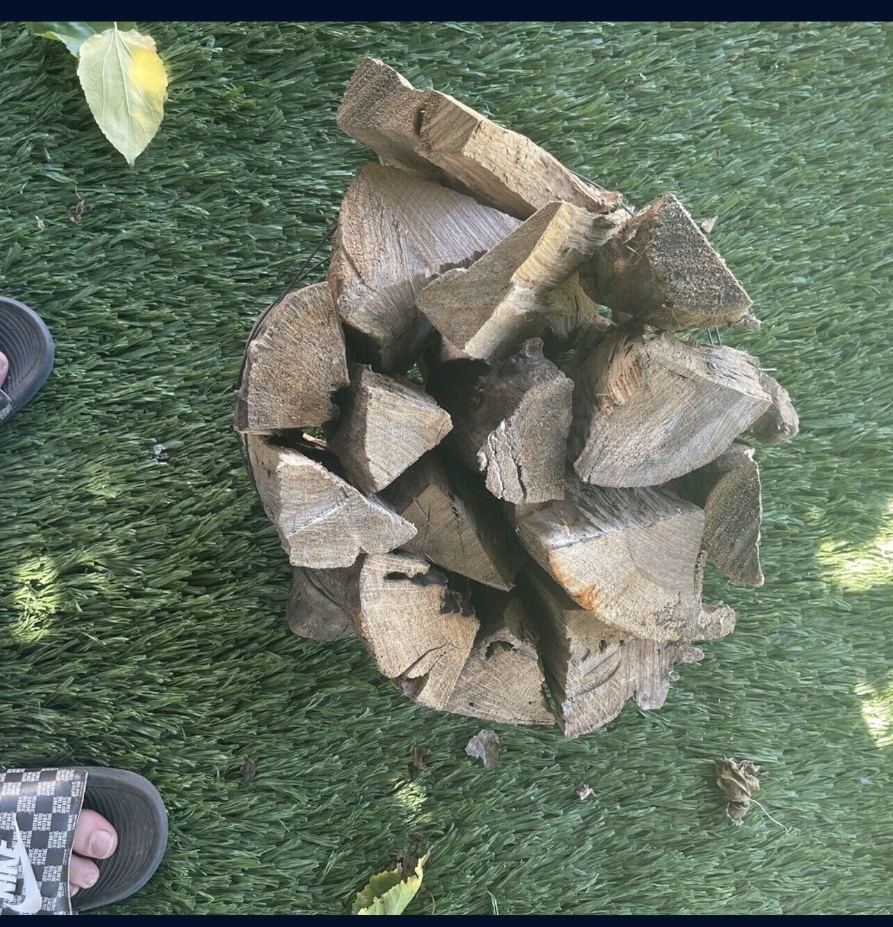 fire wood - Fresh Stock Dated January 2026