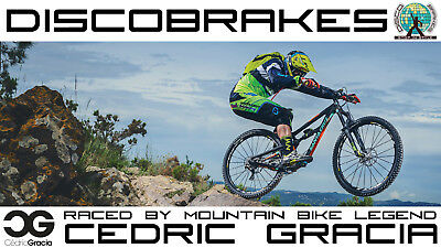 4 Pairs/8Pc Rubber Brake Inserts for Campagnolo Record & Chorus Road Brake Shoes - Fresh Stock Dated December 2025