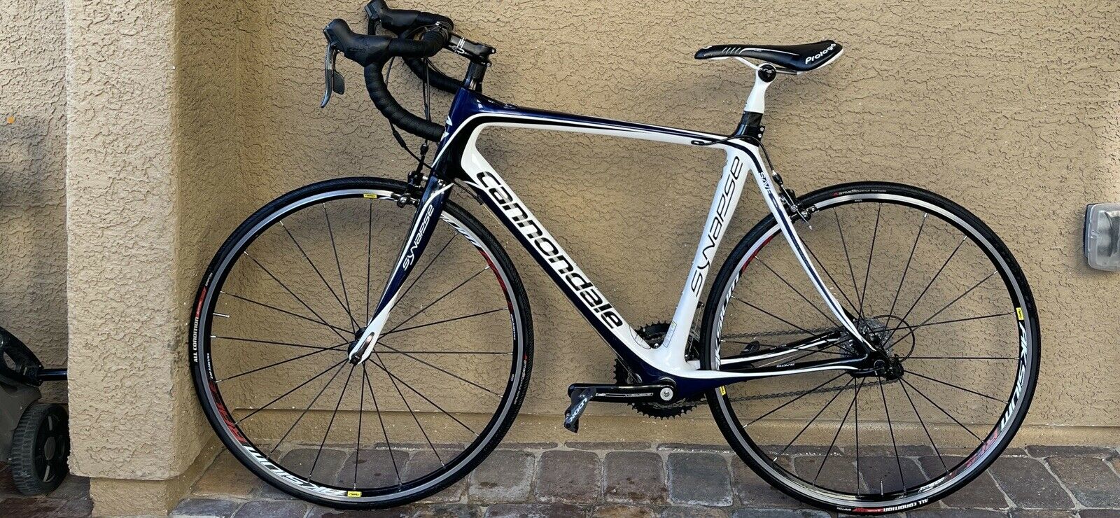 cannondale synapse carbon road bike - Fresh Stock Dated December 2025