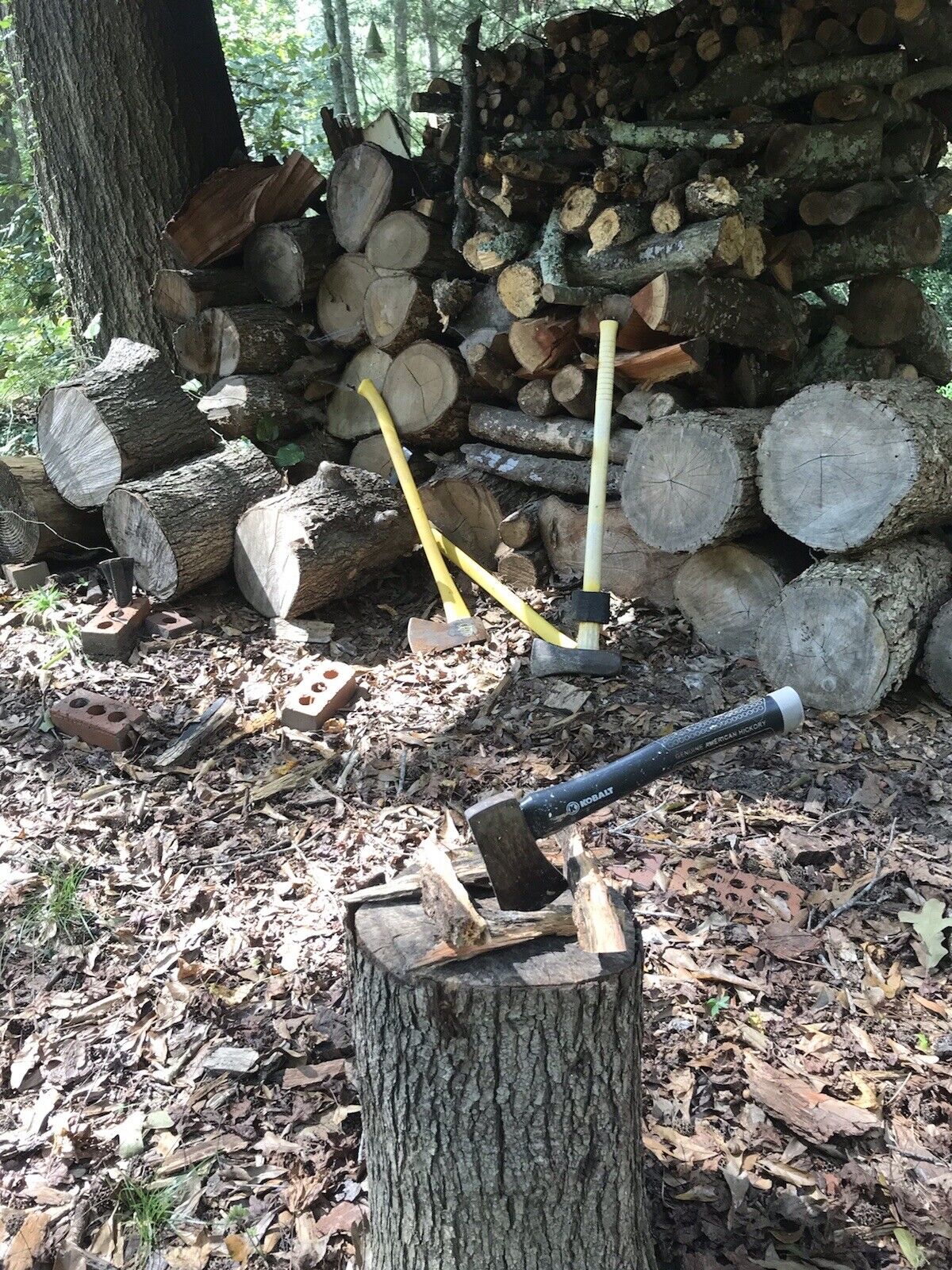 6+ lbs Georgia Fatwood Natural Fire Starter Kindling. - Fresh Stock Dated January 2026