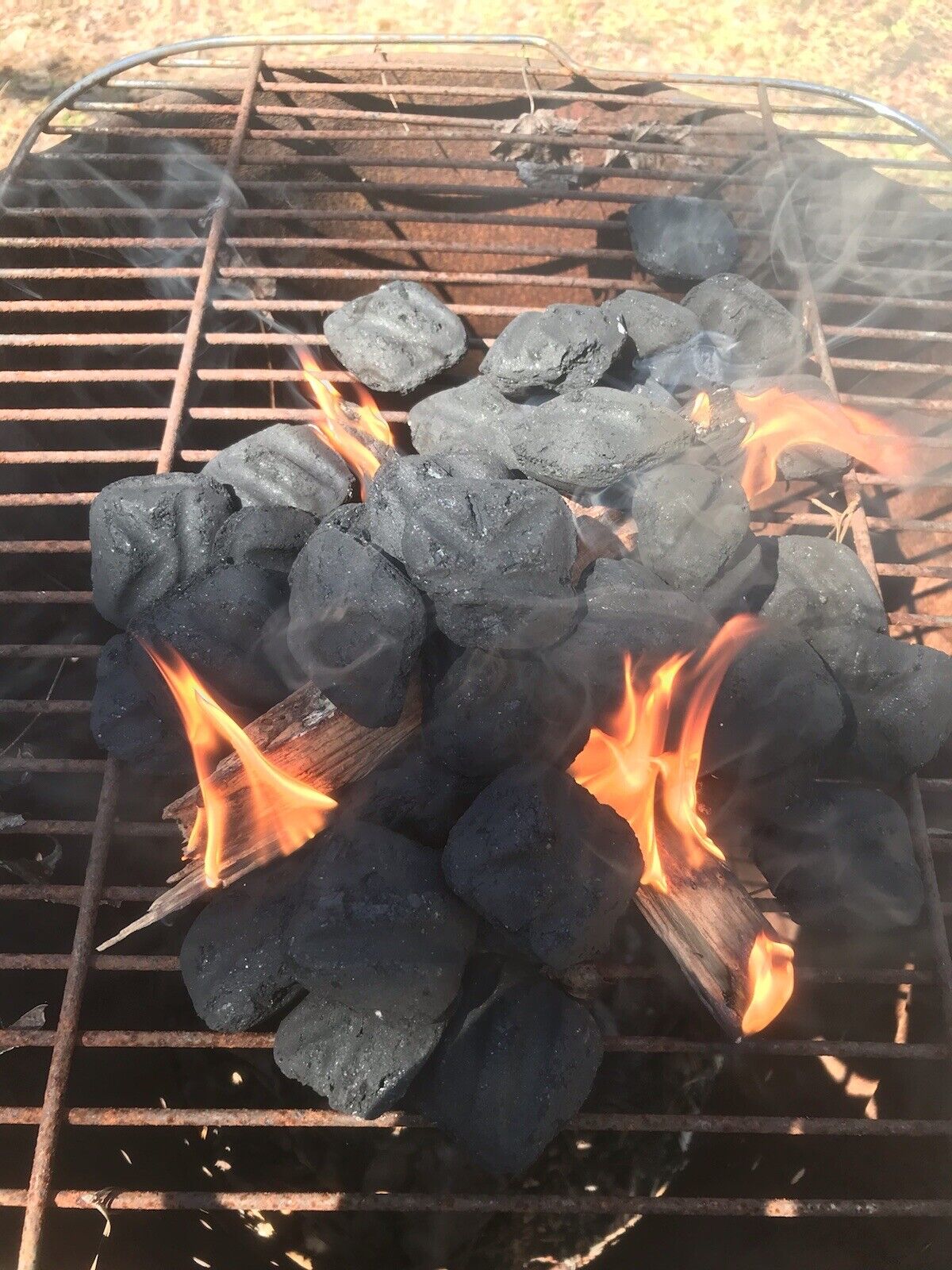 6+ lbs Georgia Fatwood Natural Fire Starter Kindling. - Fresh Stock Dated January 2026