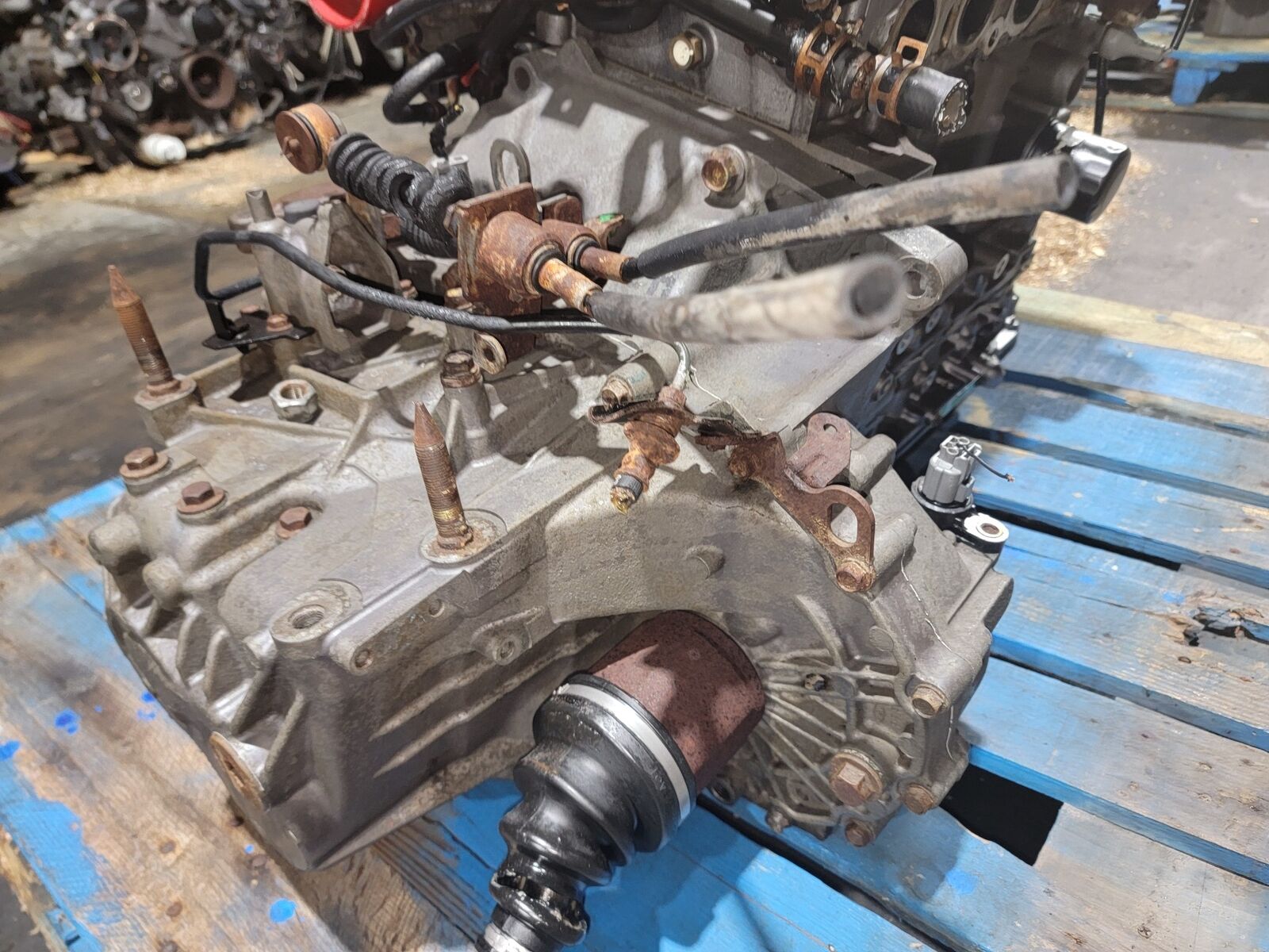 02-05 Honda Civic SI 2.0L Manual 5SPD Transmission K20A3 1711543 NRH3 - Fresh Stock Dated January 2026