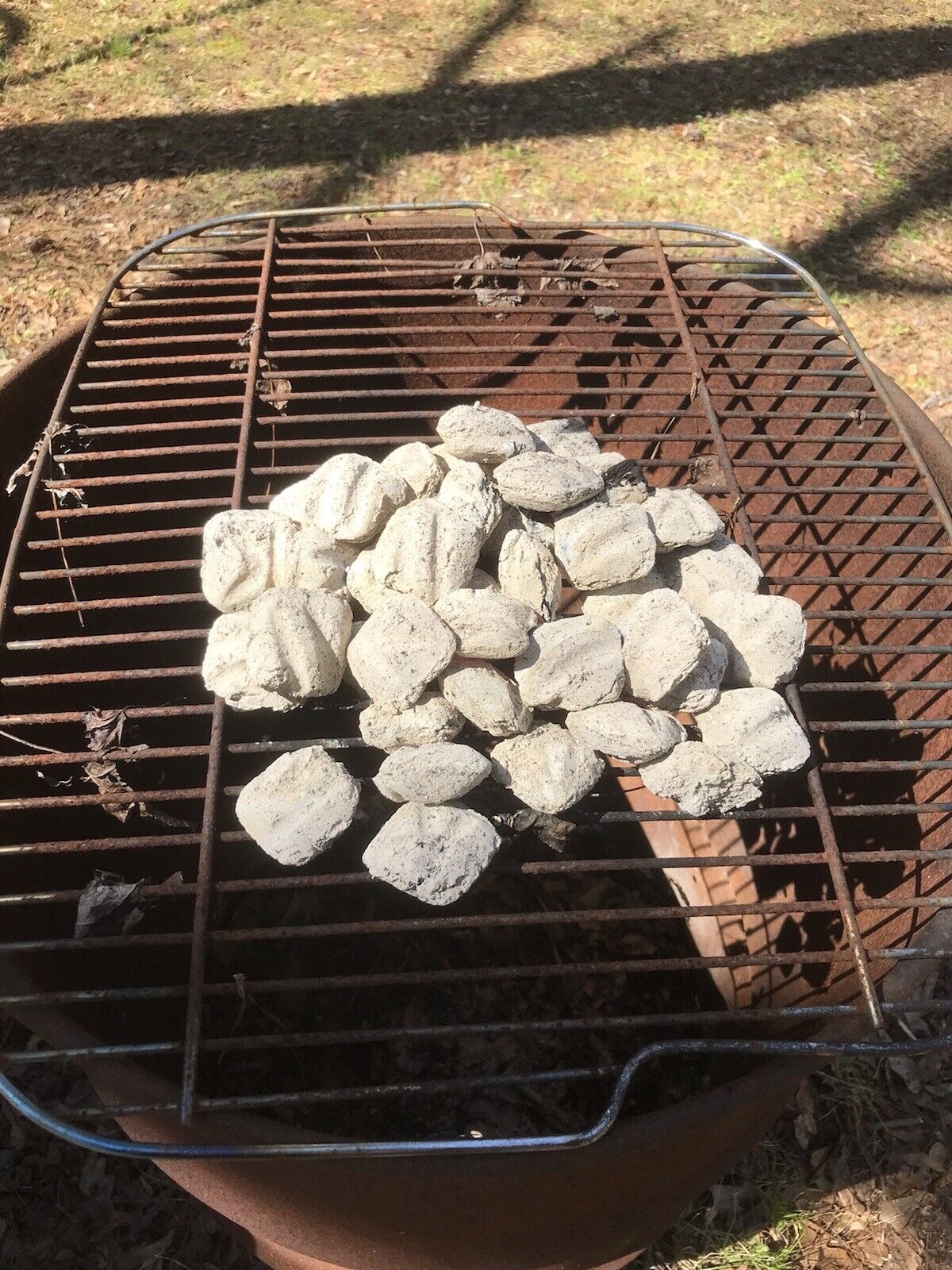 6+ lbs Georgia Fatwood Natural Fire Starter Kindling. - Fresh Stock Dated January 2026