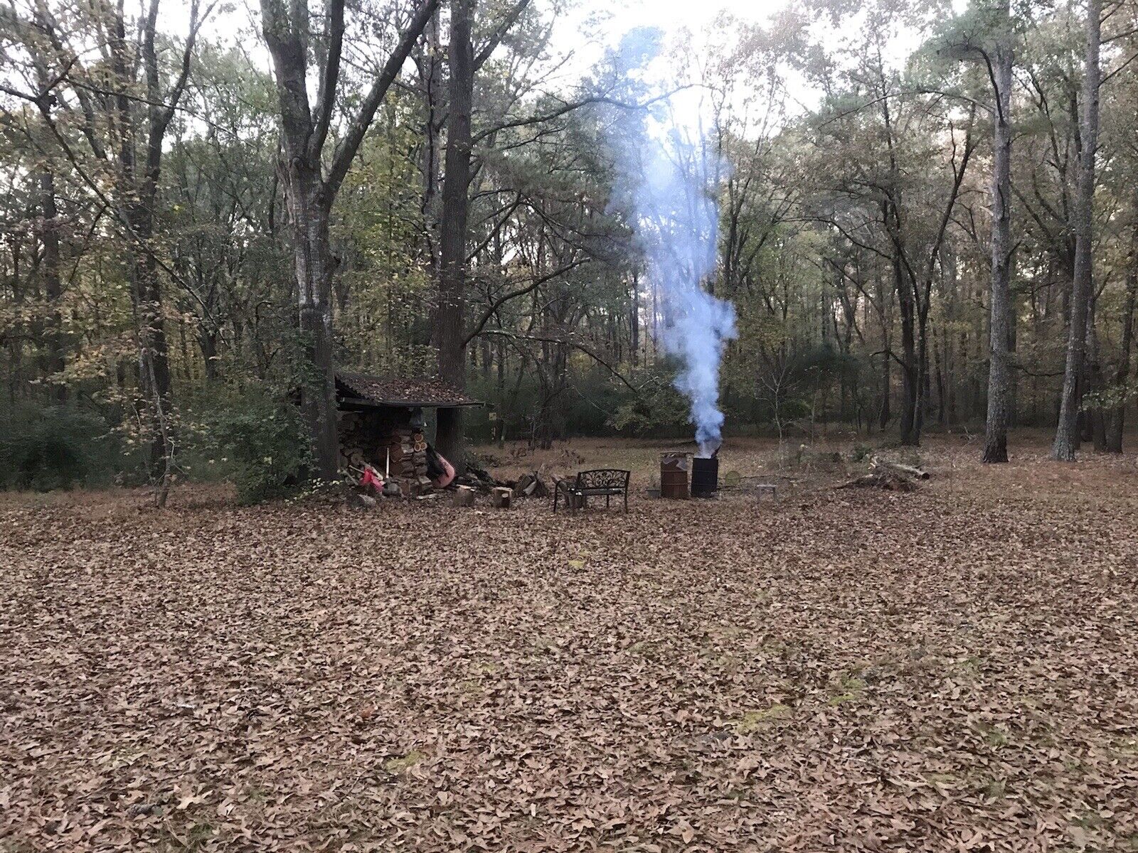 6+ lbs Georgia Fatwood Natural Fire Starter Kindling. - Fresh Stock Dated January 2026