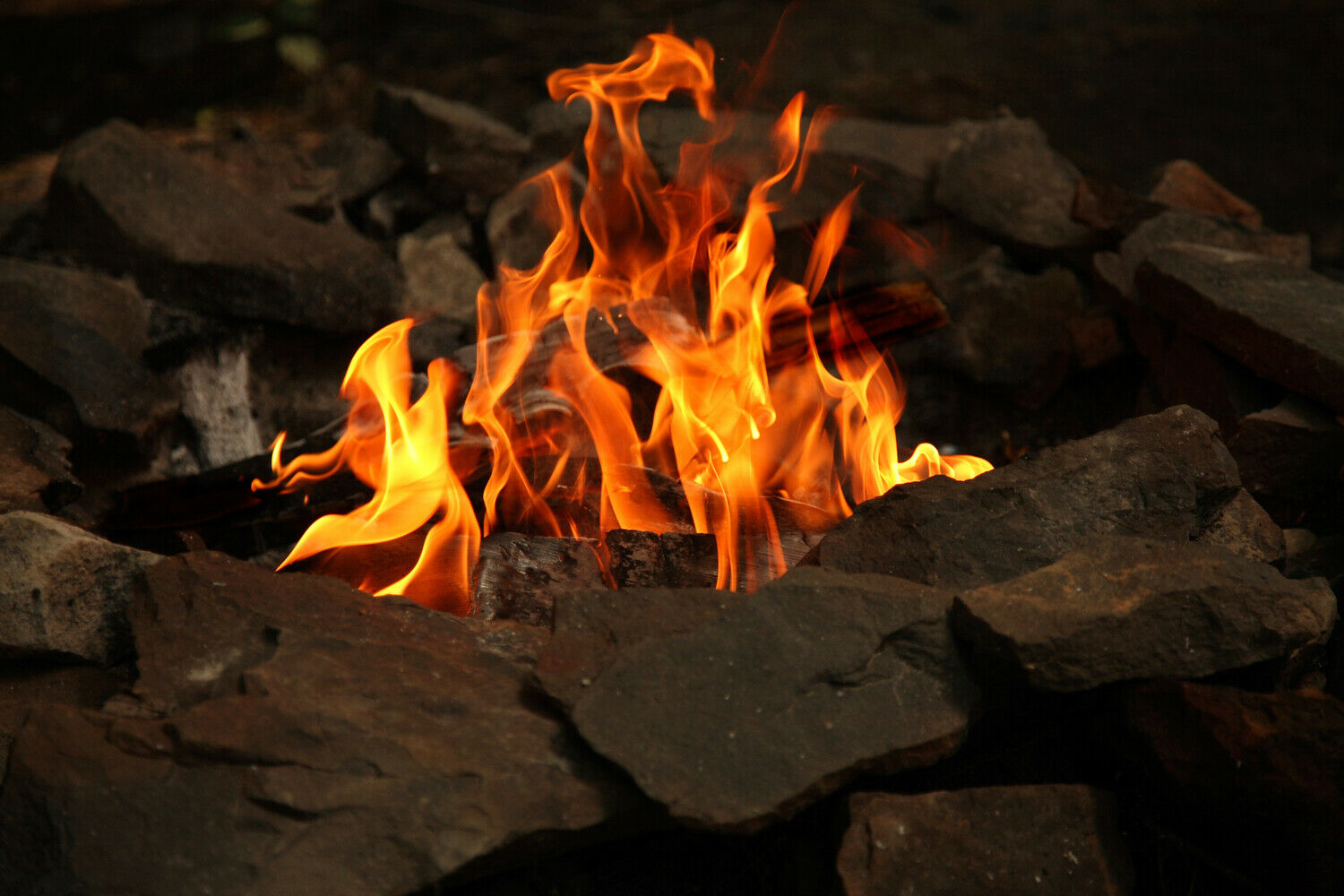 Siobhan's 22 Irish Fire Logs and Fire Starters -  Made From Irish Peat - Fresh Stock Dated December 2025