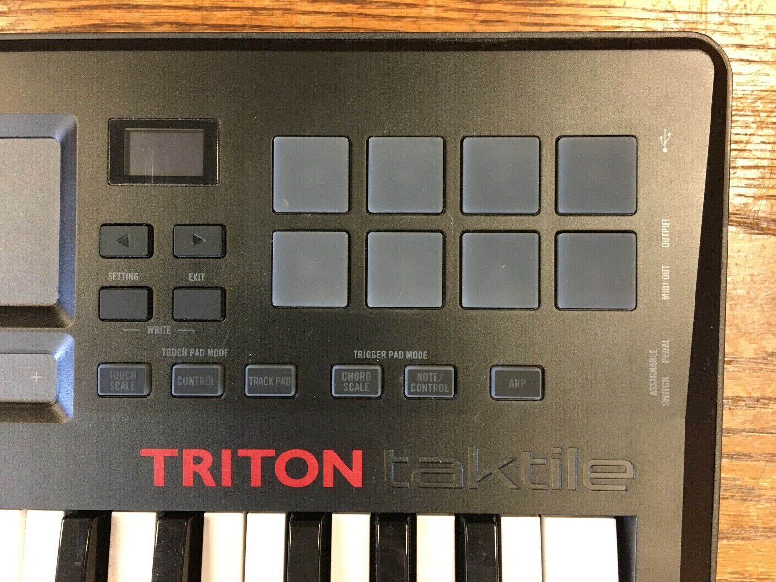 Korg Taktile 25 USB MIDI keyboard Controller - No Reserve - Fresh Stock Dated December 2025