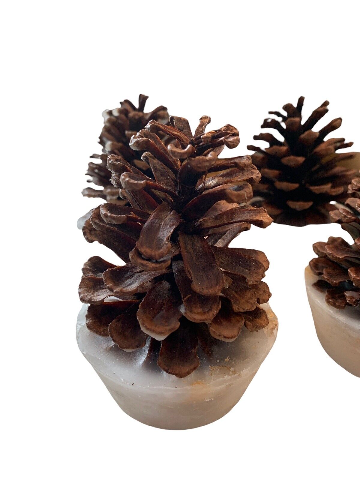 NOS RH Set of 6 Natural Pinecone Fire Starters Parrafin Wax Palm Oil Wood Chips - Fresh Stock Dated January 2026