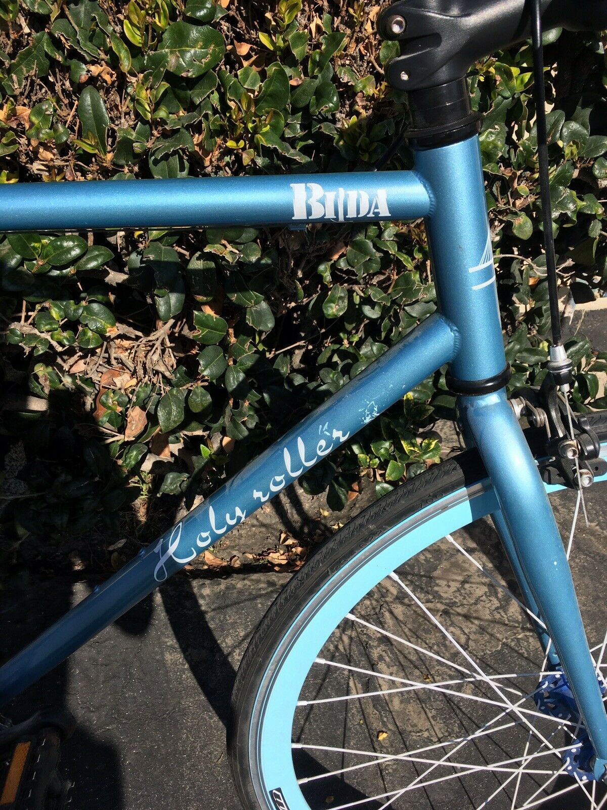 Local Pick Up Only. Nice! Bilda Holy Roller Bike Bicycle 560mm - Fresh Stock Dated December 2025