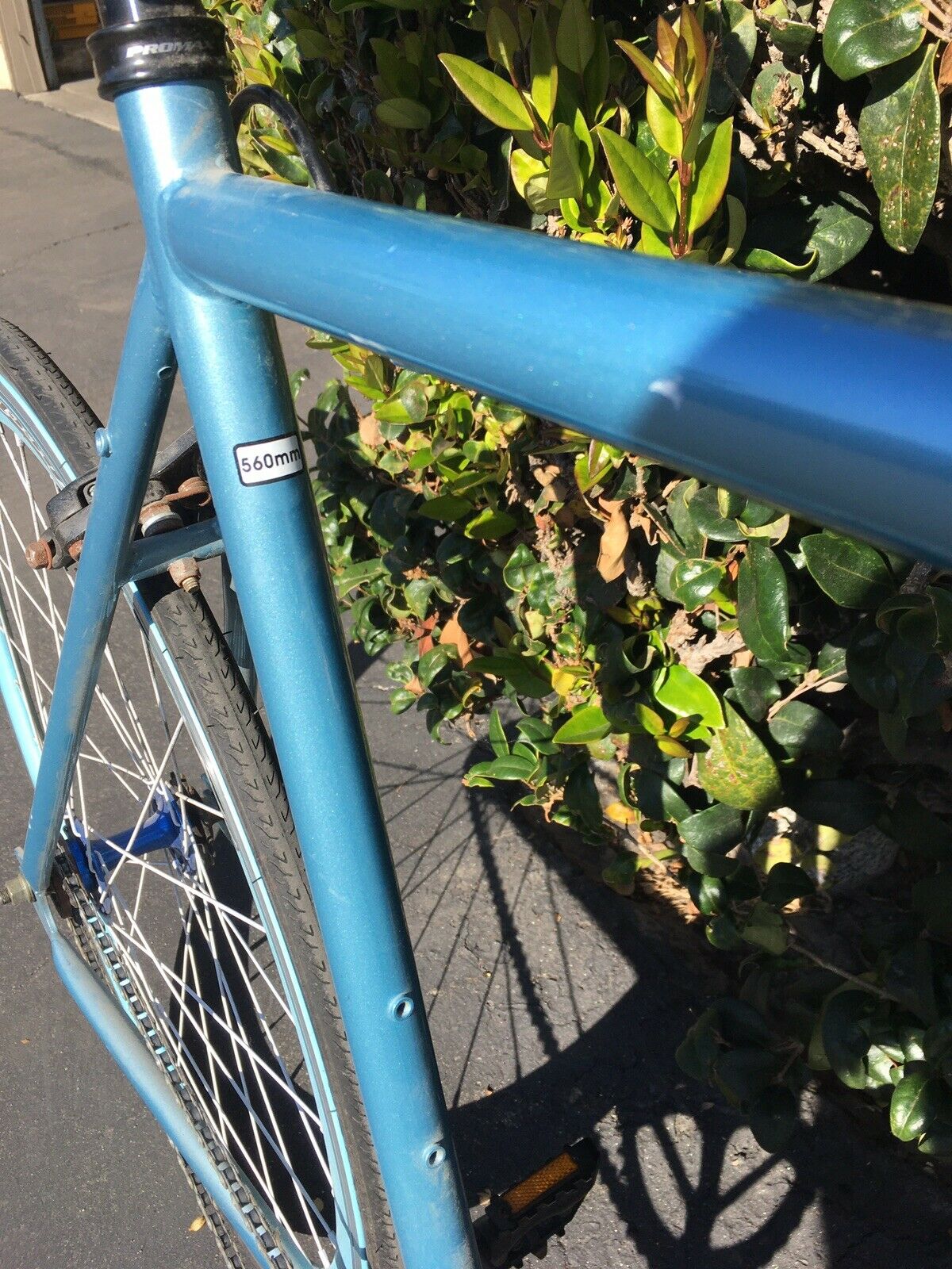 Local Pick Up Only. Nice! Bilda Holy Roller Bike Bicycle 560mm - Fresh Stock Dated December 2025