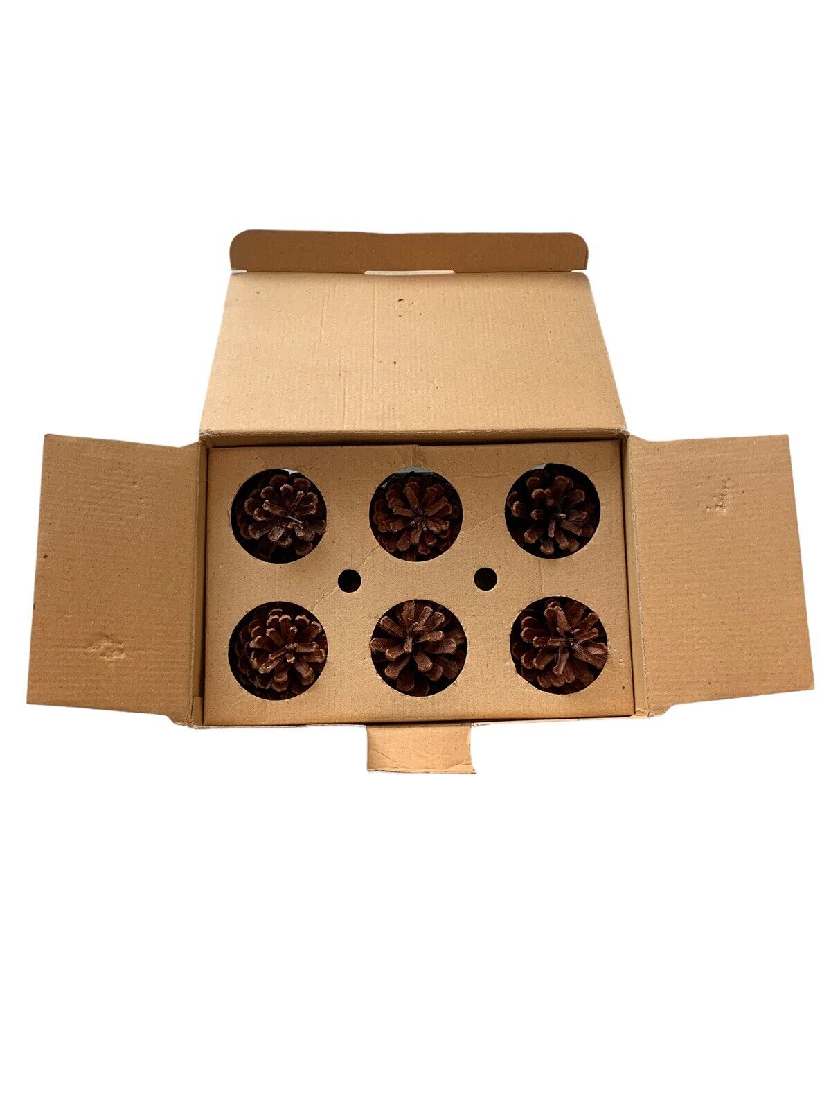 NOS RH Set of 6 Natural Pinecone Fire Starters Parrafin Wax Palm Oil Wood Chips - Fresh Stock Dated January 2026