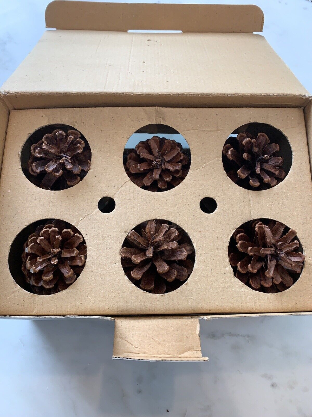 NOS RH Set of 6 Natural Pinecone Fire Starters Parrafin Wax Palm Oil Wood Chips - Fresh Stock Dated January 2026