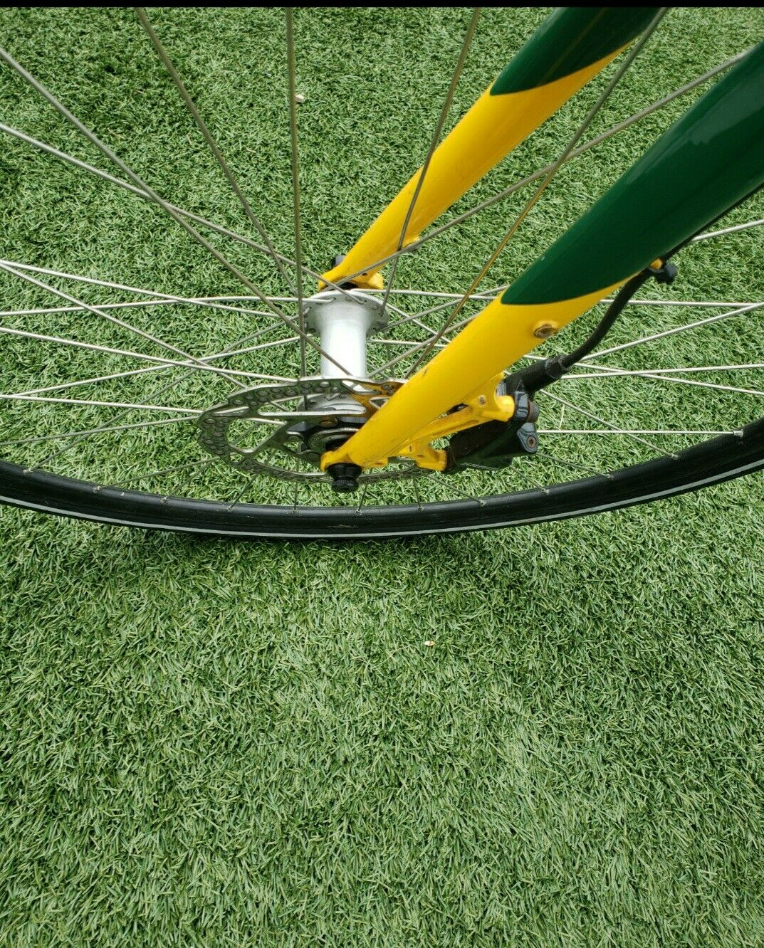 Spot Wazee Bike - Fresh Stock Dated December 2025