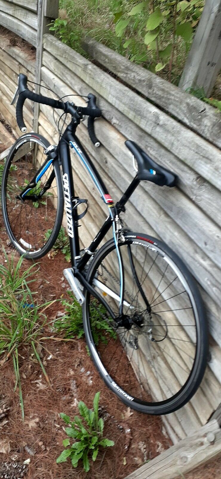 Specialized Dolce Bike road bicycle - Fresh Stock Dated December 2025