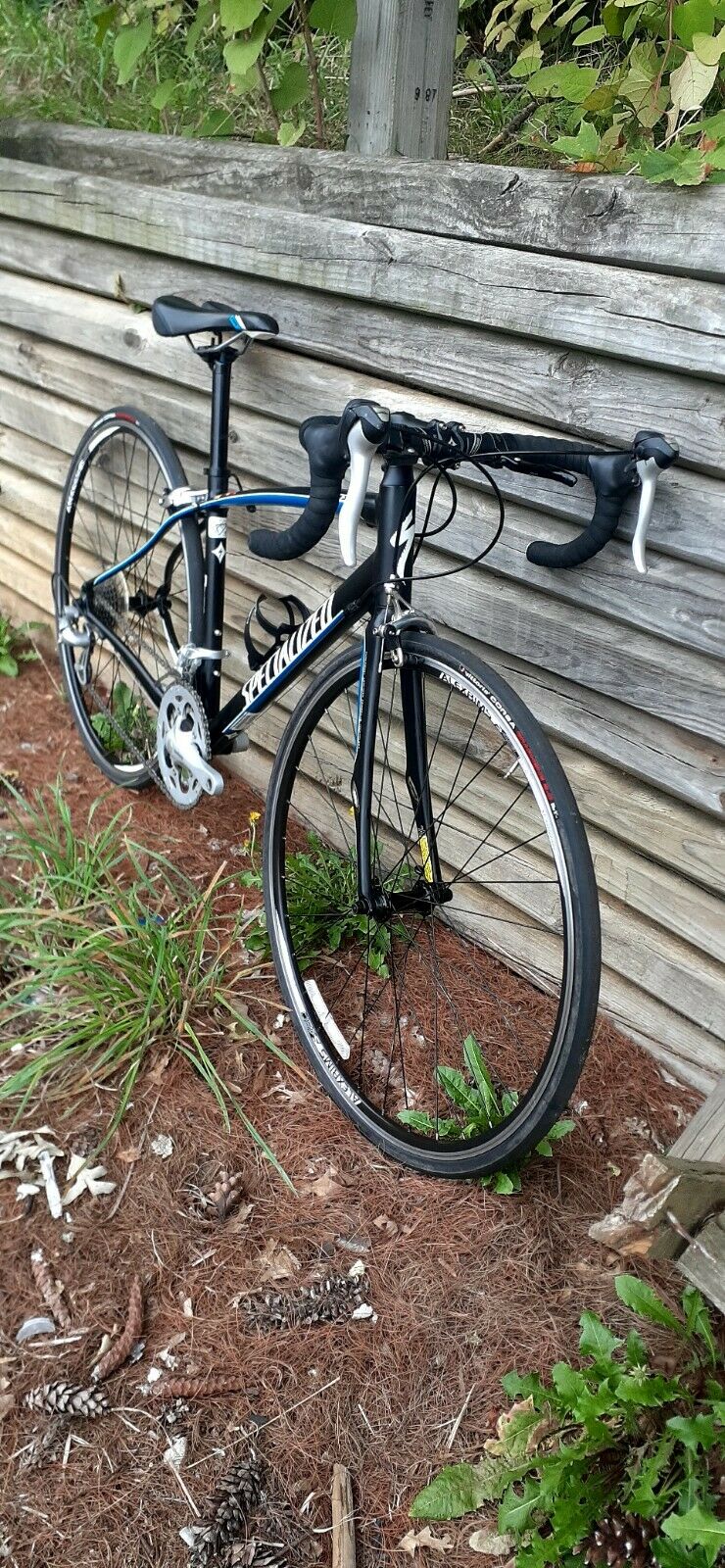 Specialized Dolce Bike road bicycle - Fresh Stock Dated December 2025