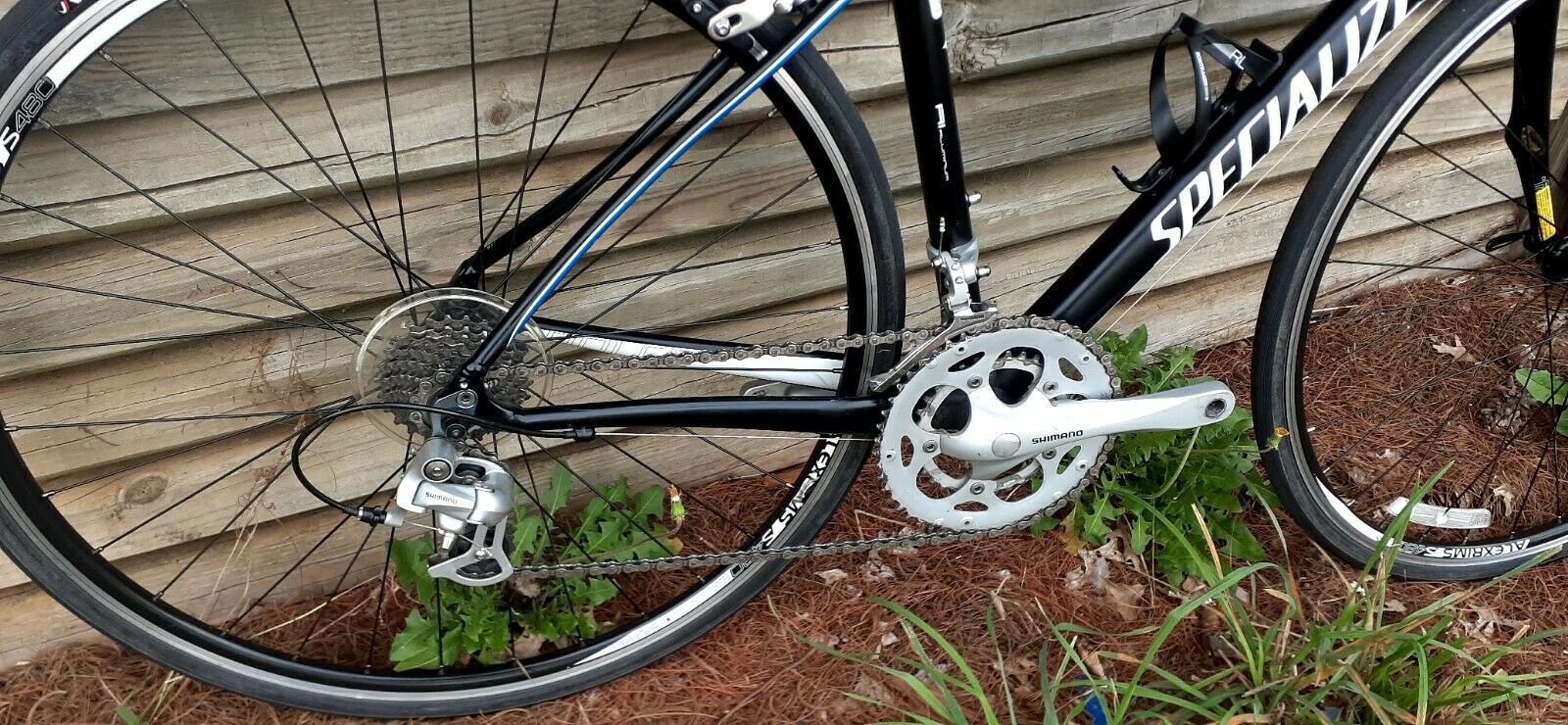 Specialized Dolce Bike road bicycle - Fresh Stock Dated December 2025