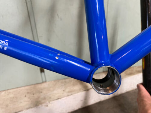 Specialized Allez Comp Columbus Thermacrom Steel 56cm Frame Set, 700c - Fresh Stock Dated December 2025