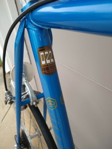 1982 Bianchi Limited 62cm Vintage Road Bike - Fresh Stock Dated December 2025