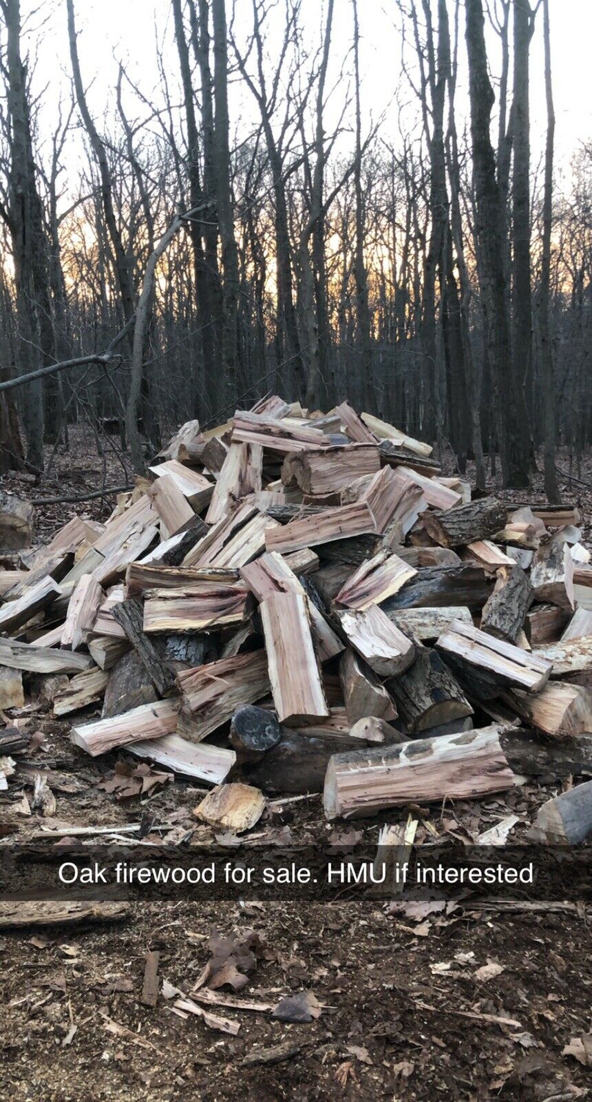 Firewood - Fresh Stock Dated January 2026