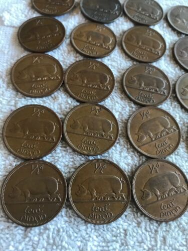 Lot Of 25 Irish Lucky Half-pennies 1966 - Fresh Stock Dated December 2025