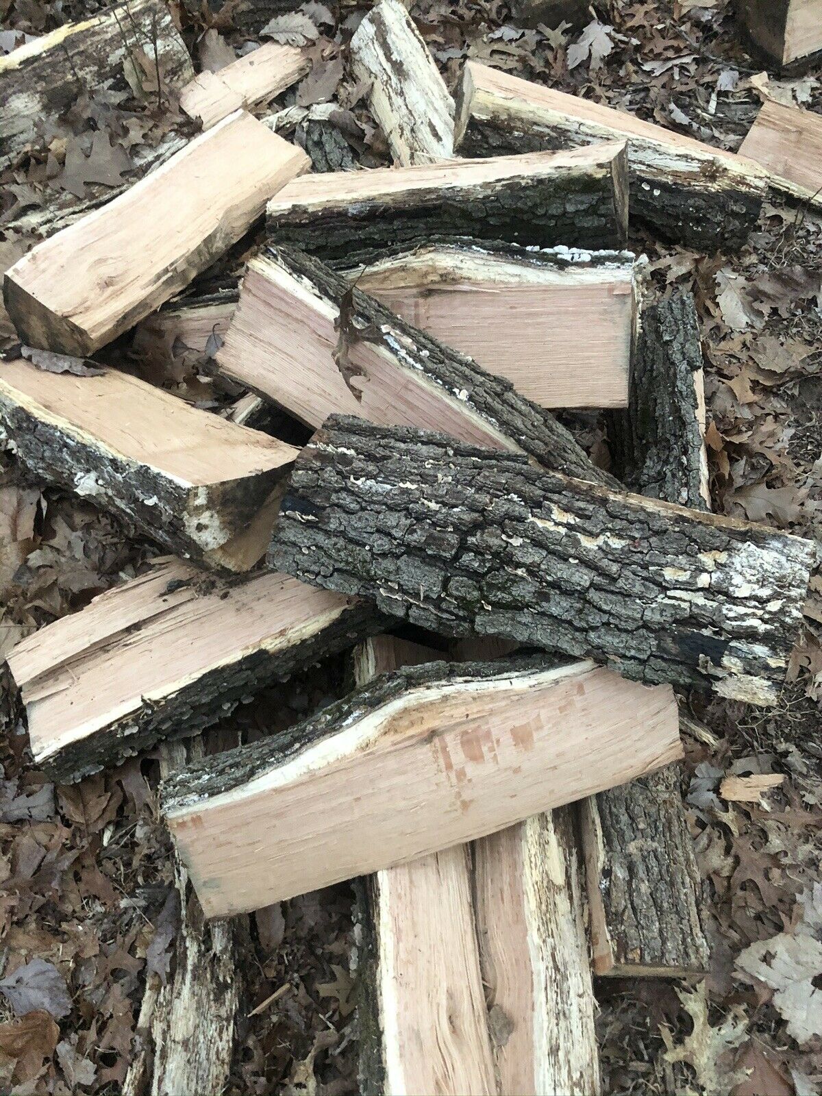 Firewood - Fresh Stock Dated January 2026