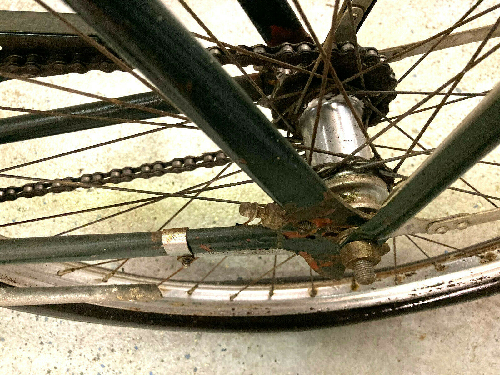 Devega Sports Reggie McNamara skip tooth from 1941 - Fresh Stock Dated January 2026