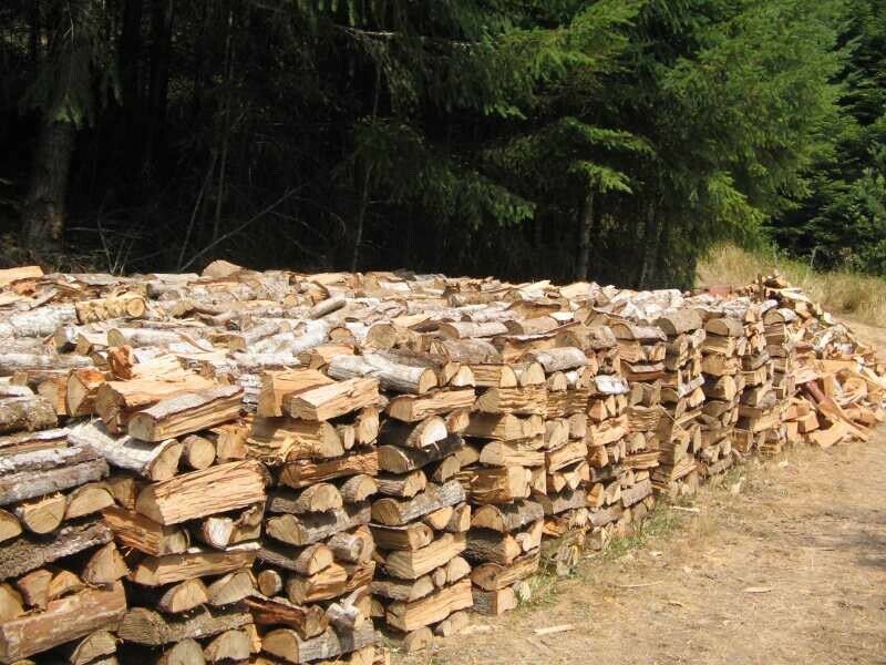 FIREWOOD - Fresh Stock Dated December 2025