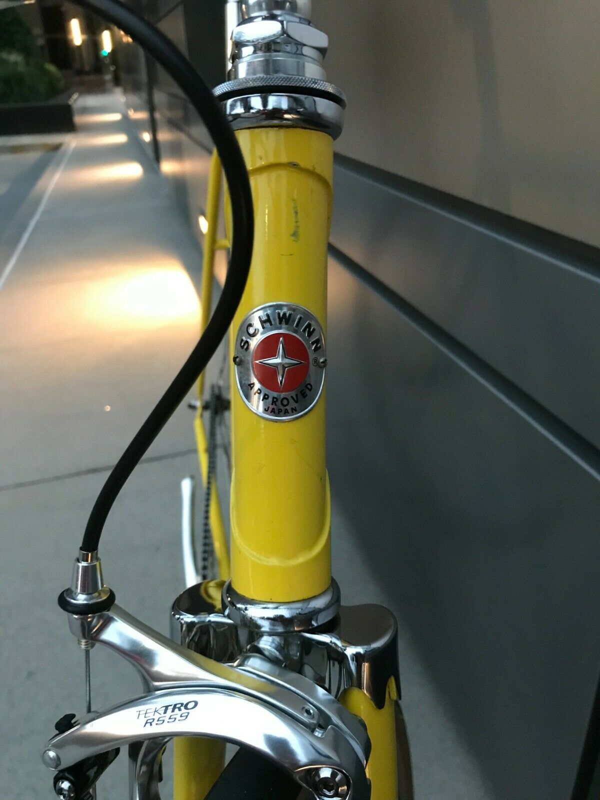 Schwinn Le Tour Vintage Mod Fixed Gear Single Speed Large 57cm Lugged Steel Road - Fresh Stock Dated December 2025