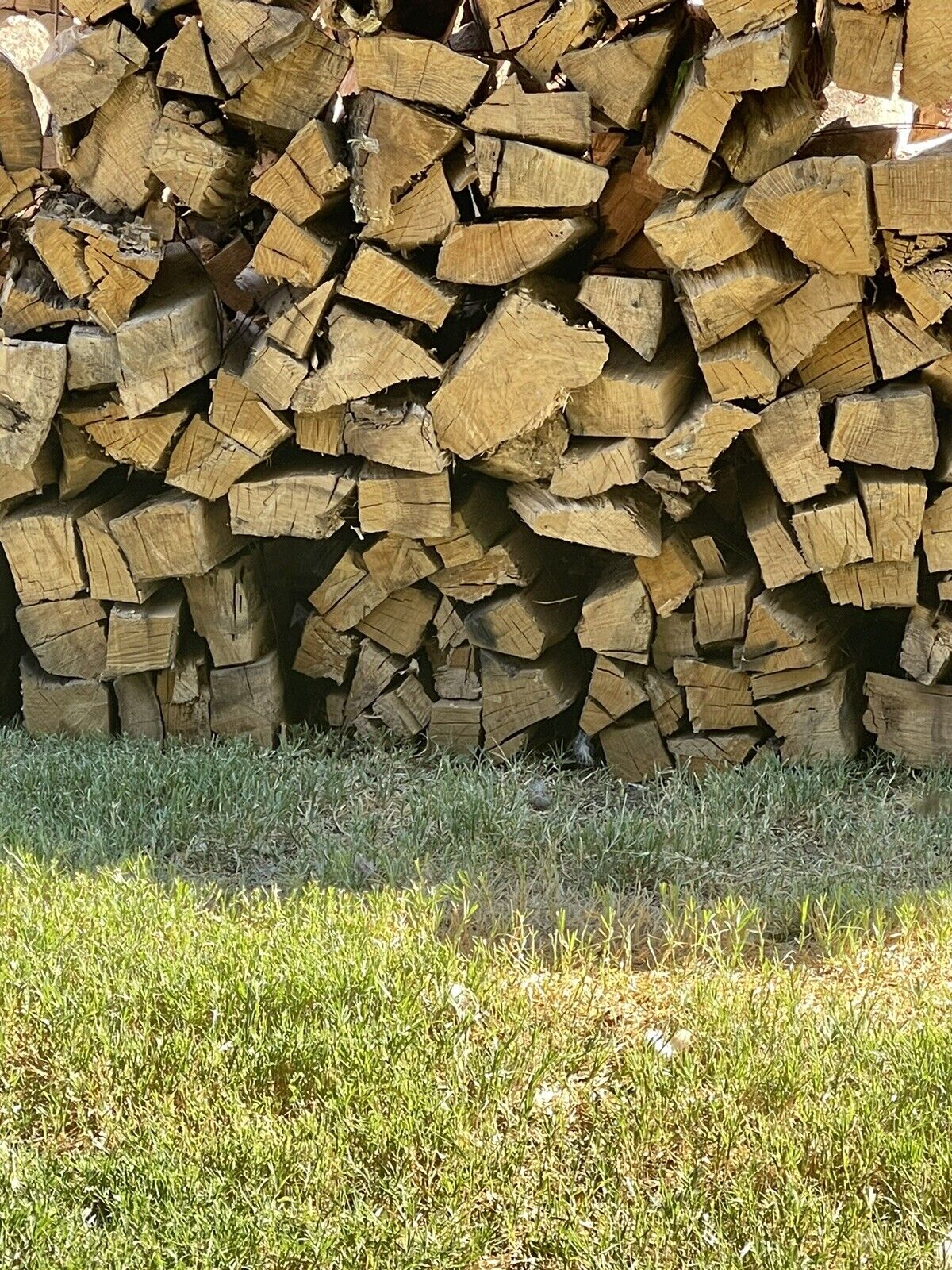 fire wood - Fresh Stock Dated January 2026