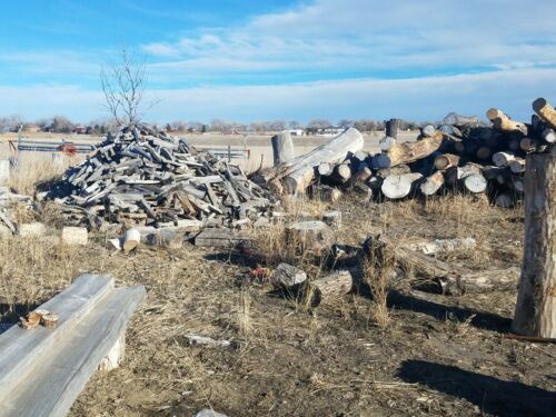 Big Heavy Box, 65+ LBS Better Assorted Hand Split Firewood. Dry. Elm, Poplar, Co - Fresh Stock Dated December 2025