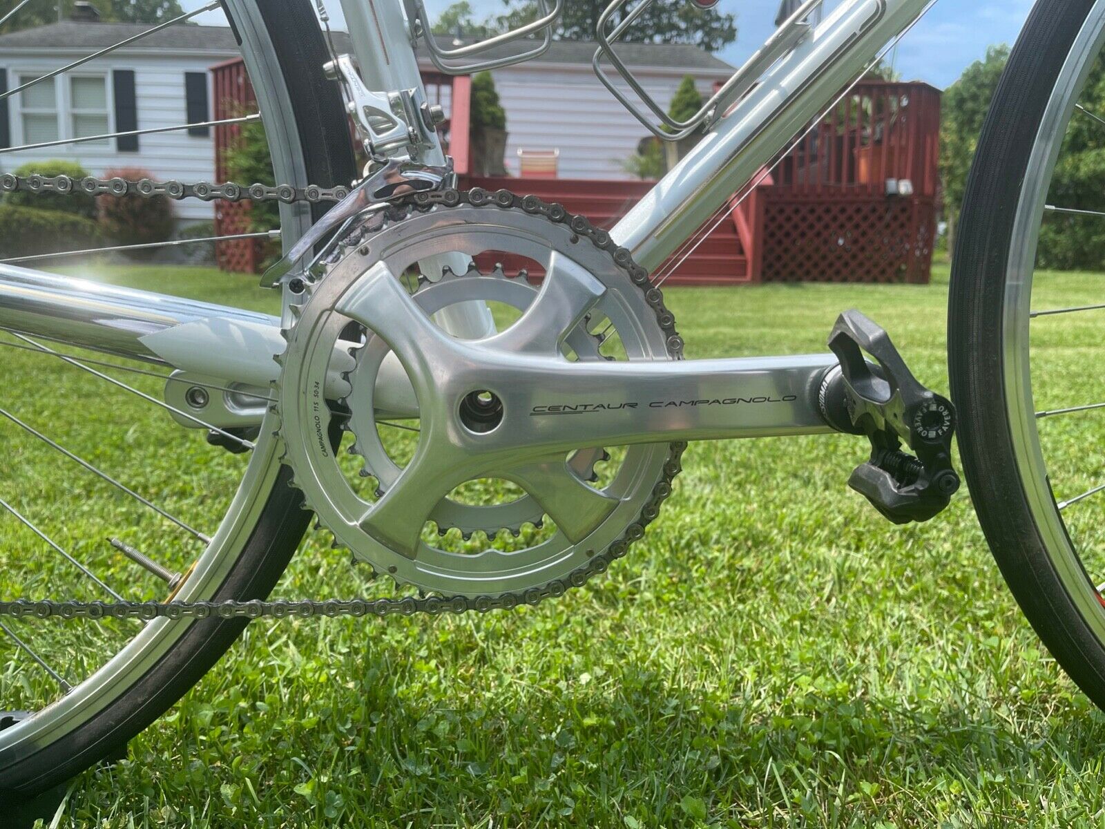 Colnago Arabesque - Fresh Stock Dated December 2025