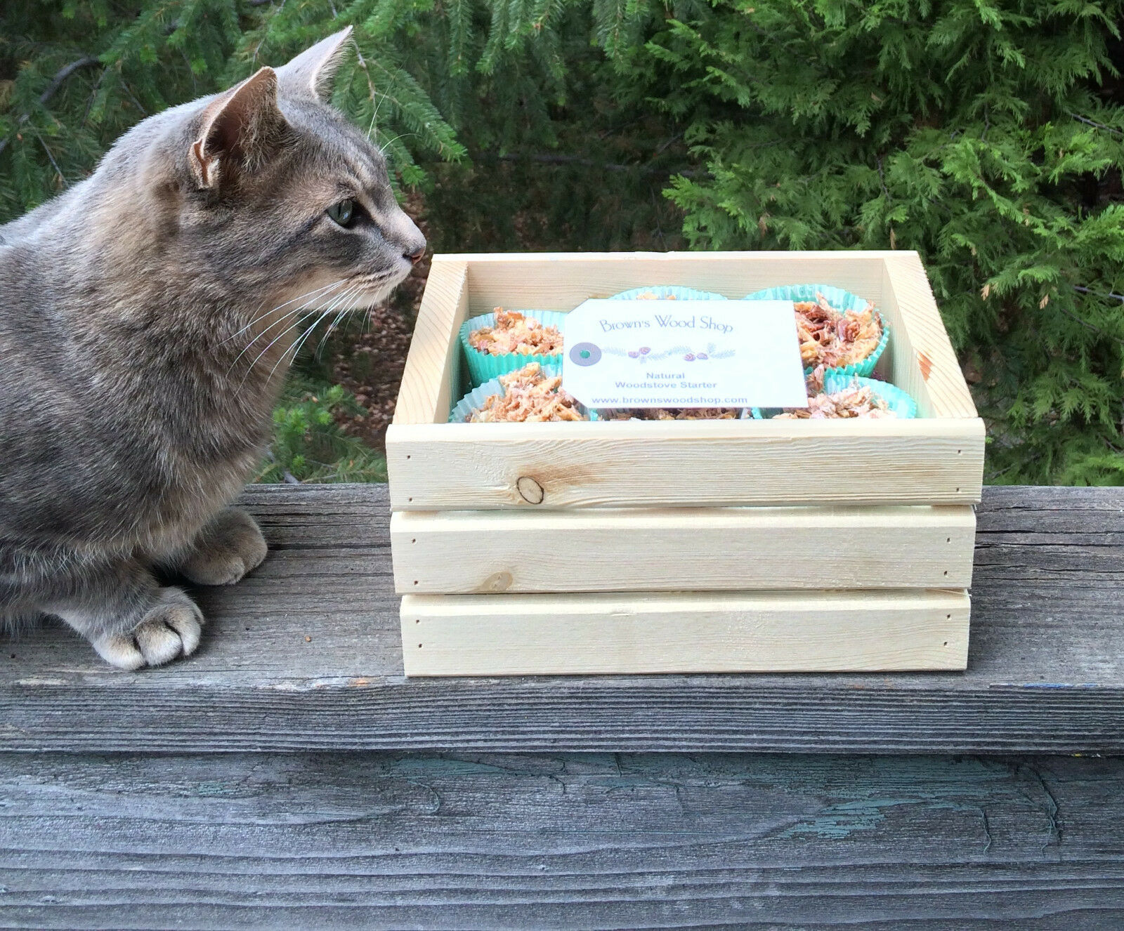 Premium Soy Wax Firestarters By the Dozen - Eco Friendly  FREE DECORATIVE CRATE! - Fresh Stock Dated January 2026