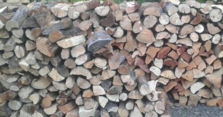 Silver Madrone 5.00 Free Local Delivery In Glendale OR 5412911615 /5415305295 - Fresh Stock Dated January 2026