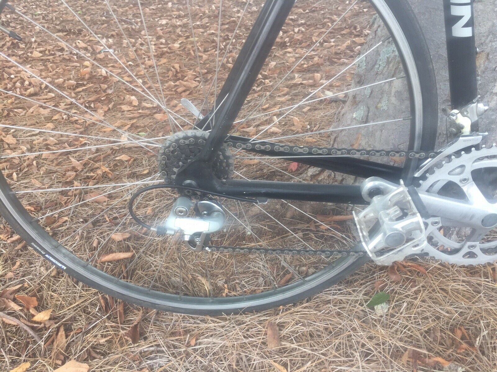 Vintage Schwinn 564 Aluminum Touring Road Bike 21.5” - Fresh Stock Dated December 2025