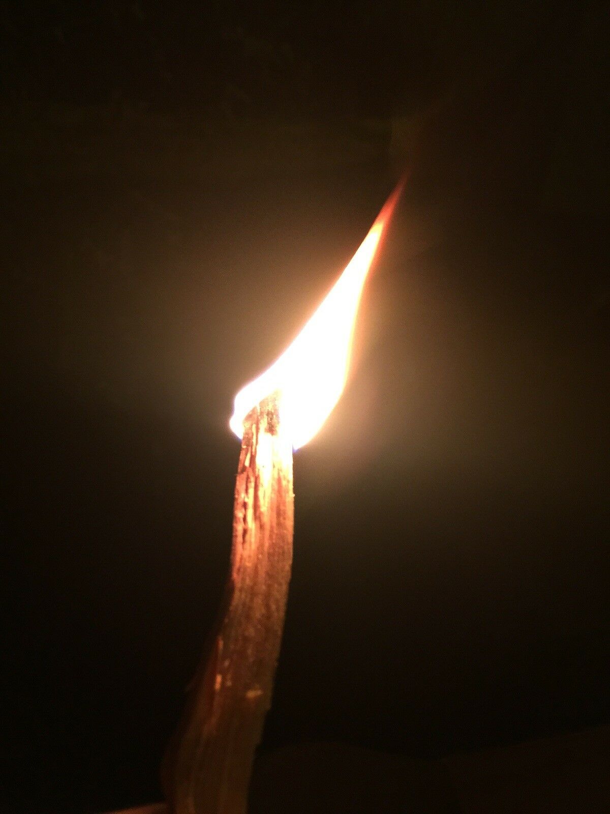 All Natural Fatwood Kindling Fire Starter Sticks 6 lb Box Turpentine Resin Wood - Fresh Stock Dated December 2025